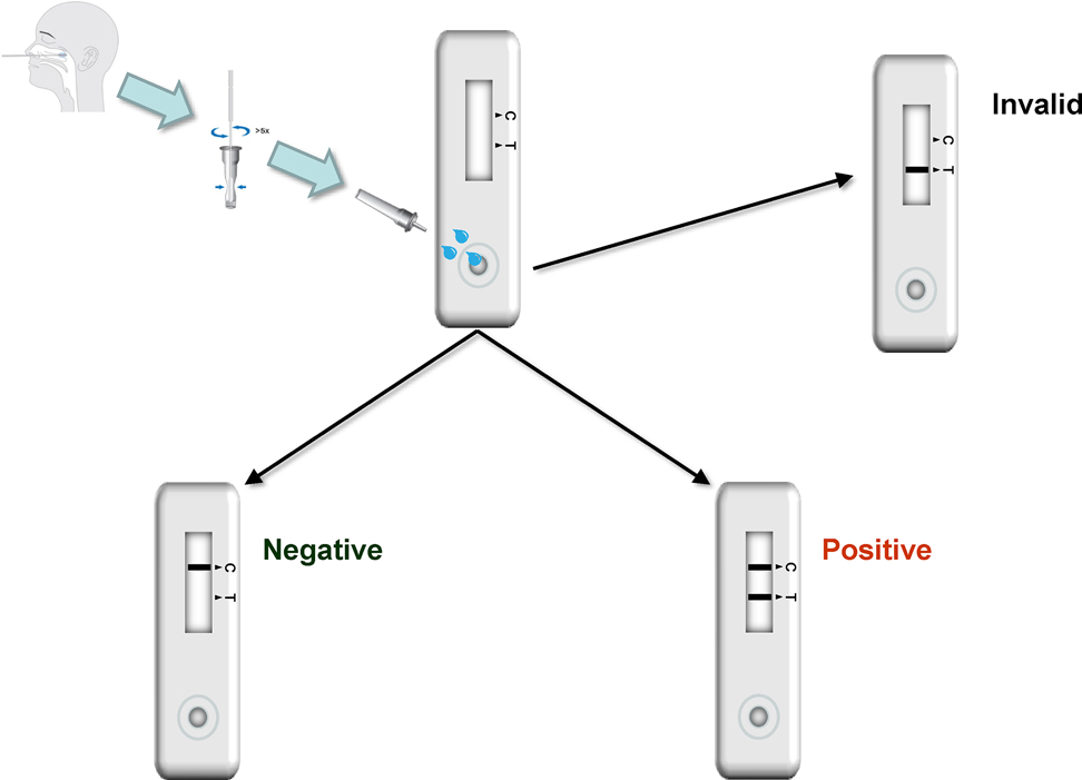 Antigen test usage